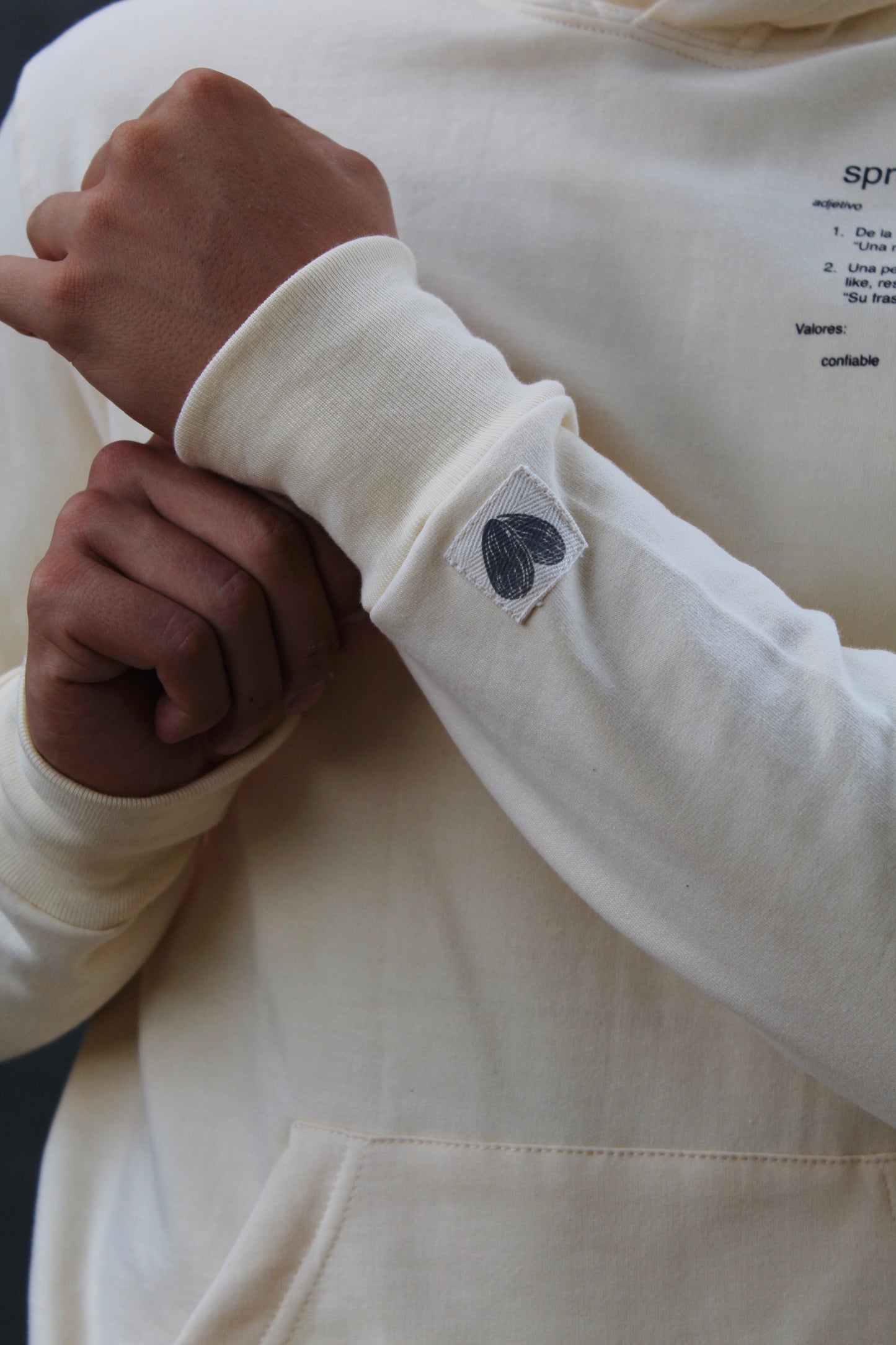 Detalles en la manga de la sudadera unisex de Sarai´s Superfood spread